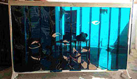 PVC Strip Curtain